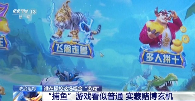 玩家 男子玩捕鱼小输掉房子还负债瓦力棋牌游戏法治丨套路专坑游戏(图3)