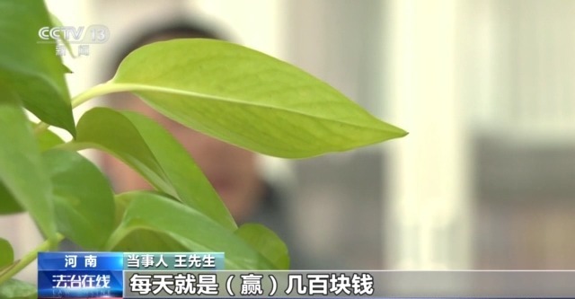 玩家 男子玩捕鱼小输掉房子还负债瓦力棋牌游戏法治丨套路专坑游戏(图8)
